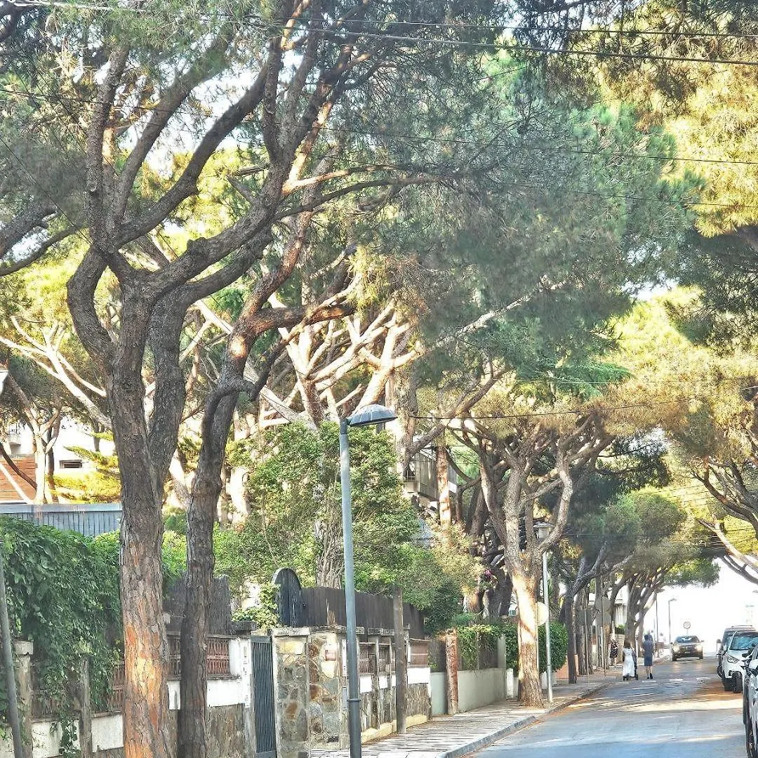 El Pi Apartamento Con Jardin A 2 Minutos Playa Y 2 Minutos Centro Platja d'Aro 0*,